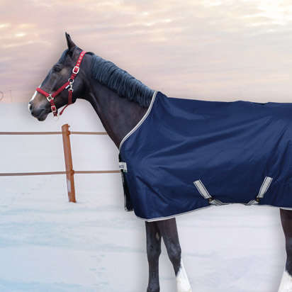 Pferd in winterlicher Landschaft   Seite 5